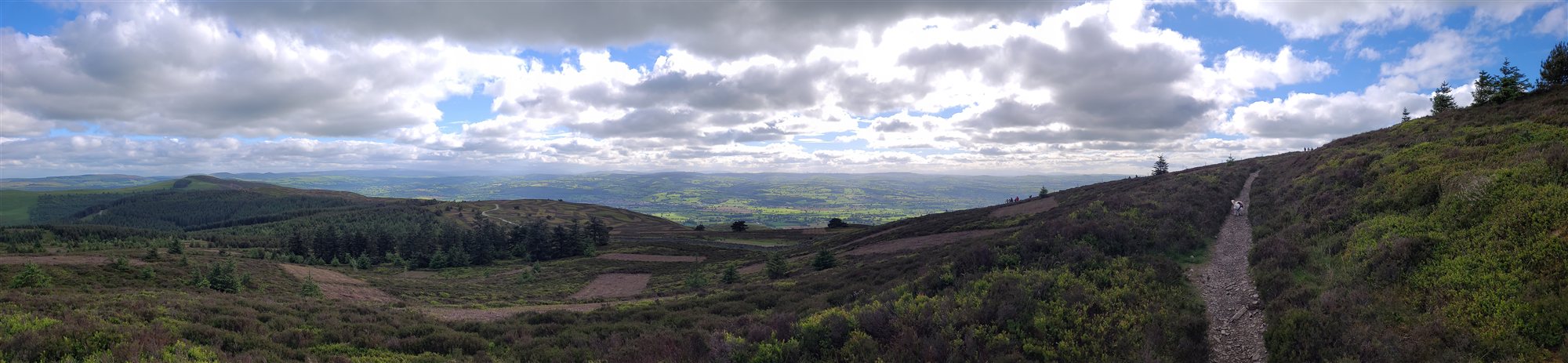 Heather moorland and open hillside on Moel Famau