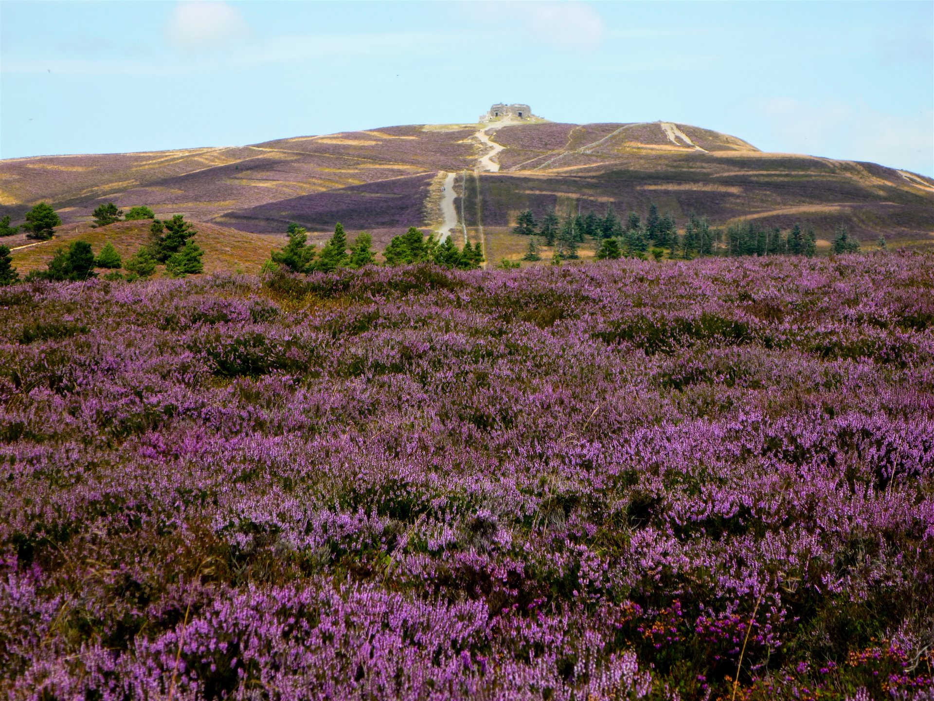 View from Moel Famau
